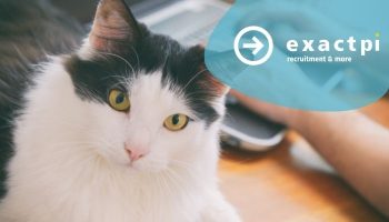 Thuiswerkbeleid 9 aandachtspunten